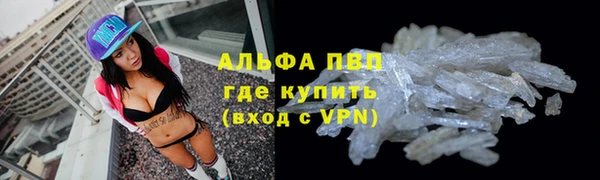apvp Алзамай