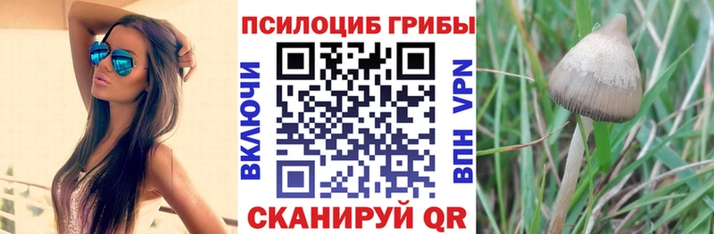 Галлюциногенные грибы прущие грибы  Киржач 